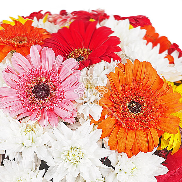 Лови момент! - букет из гербер и хризантем